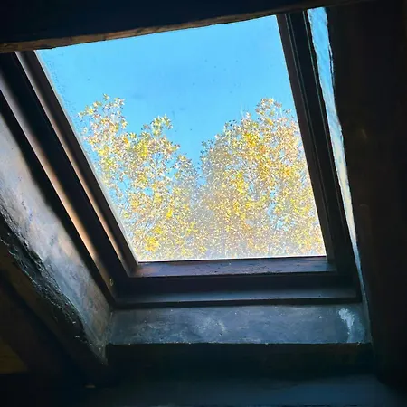 公寓 The Gem - Trastevere Cozy Retreat With Pool *